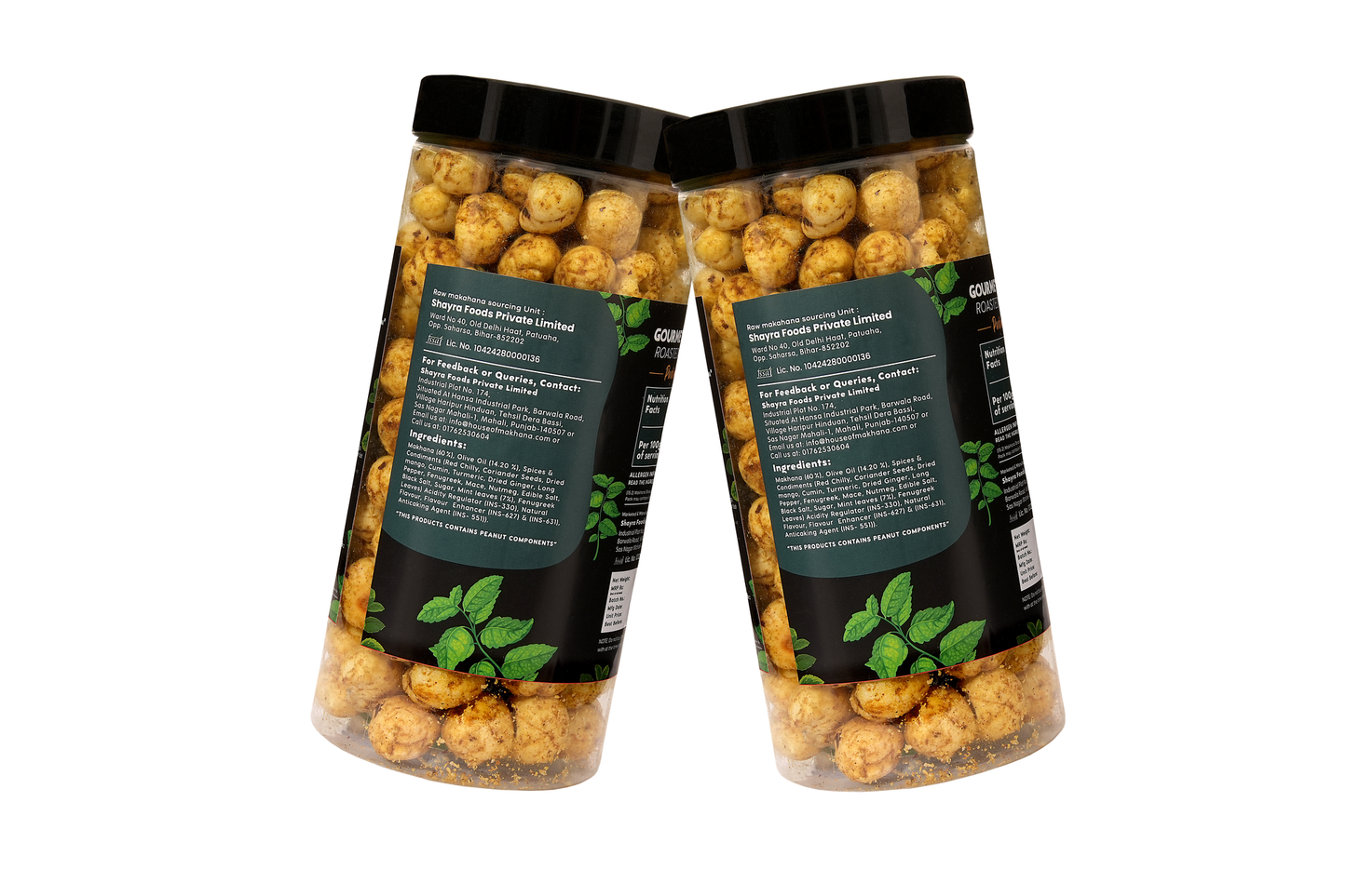 Jar Combo - Pack of 2 (Pudina Masala, Pudina Masala)