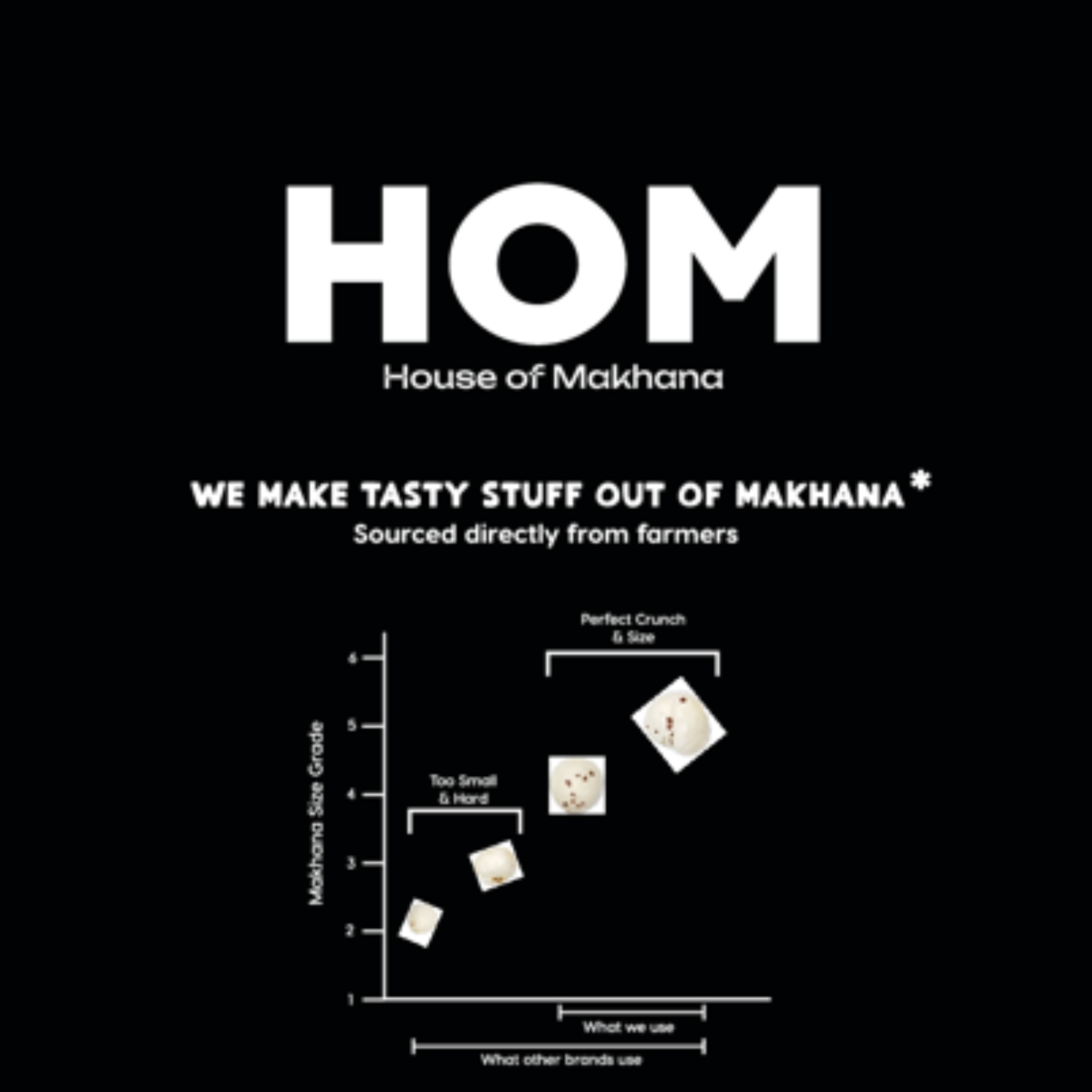 Raw Makhana - Pack of 4